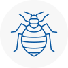 Bed Bug Extermination In Ayrshire